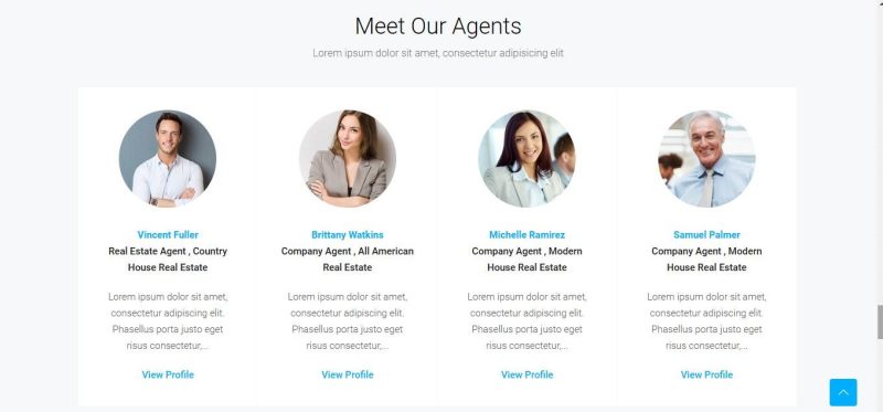 Real Estate-Biz - Image 8