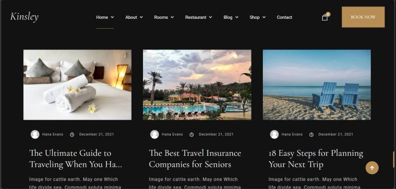 Hotel Business Website - Image 11