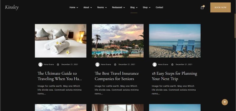 Hotel Business Website - Image 22