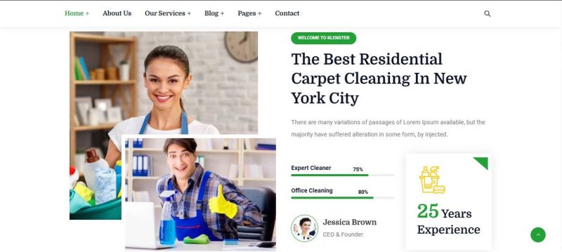 Cleaning-Biz - Image 2