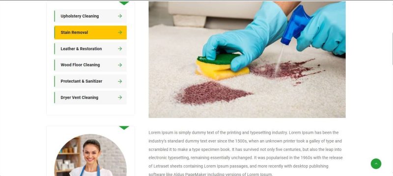 Cleaning-Biz - Image 8