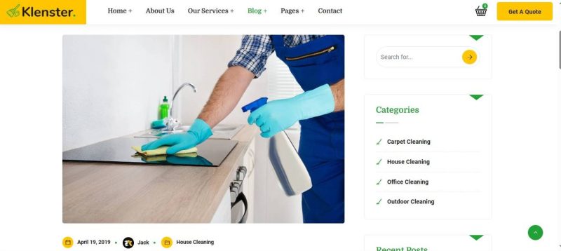 Cleaning-Biz - Image 13