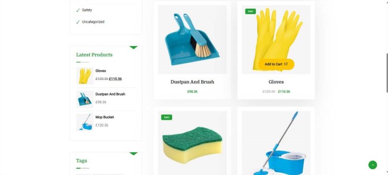 Cleaning-Biz - Image 18