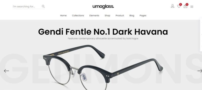 Eye Wear-Store
