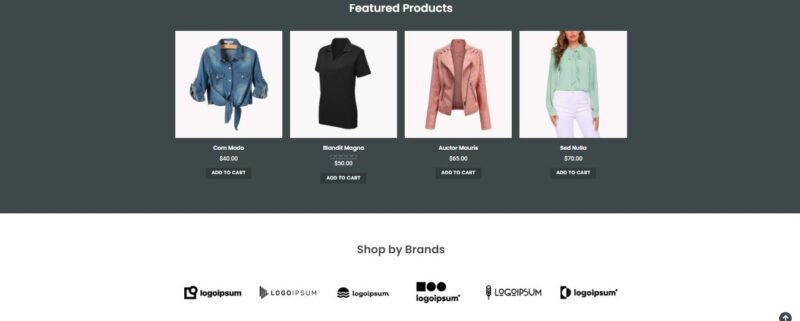 Clothing-Store - Image 8