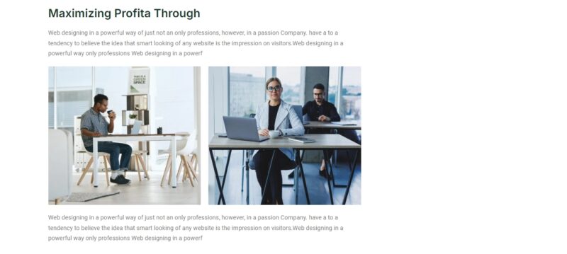 Consulting Business Website - Image 12