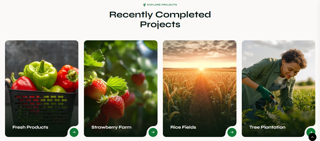 Agriculture Farm Business Website - Image 7